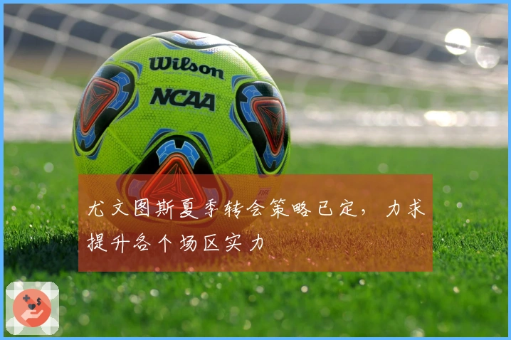 尤文图斯夏季转会策略已定，力求提升各个场区实力