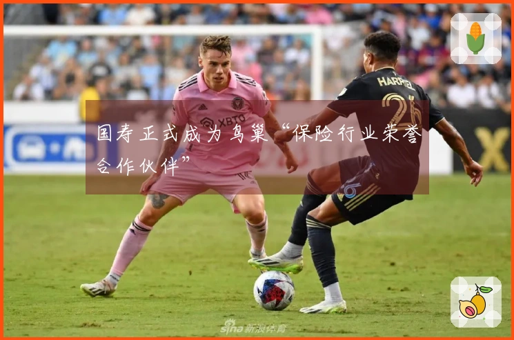 国寿正式成为鸟巢“保险行业荣誉合作伙伴”